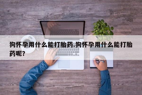 流产药微信买在线下单狗怀孕用什么能打胎药.狗怀孕用什么能打胎药呢？