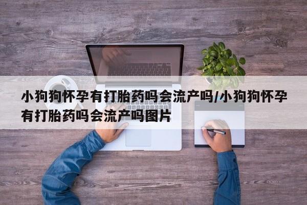 流产药微信买在线下单小狗狗怀孕有打胎药吗会流产吗/小狗狗怀孕有打胎药吗会流产吗图片