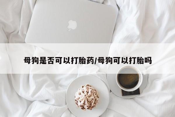 流产药微信买在线下单母狗是否可以打胎药/母狗可以打胎吗
